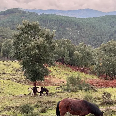 Casa Do Esquilo * 卡贝塞拉什德巴什图
