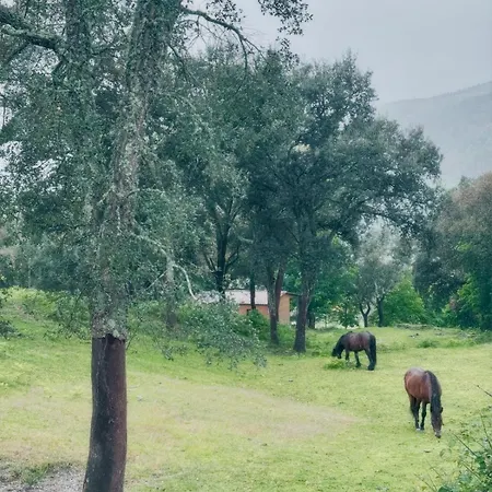 Casa Do Esquilo Apartman Cabeceiras de Basto