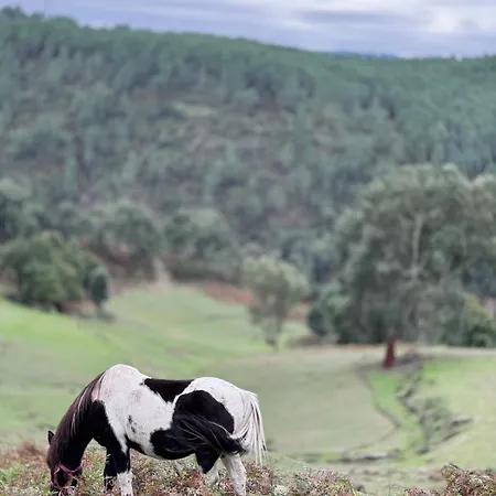 Apartman Casa Do Esquilo Cabeceiras de Basto