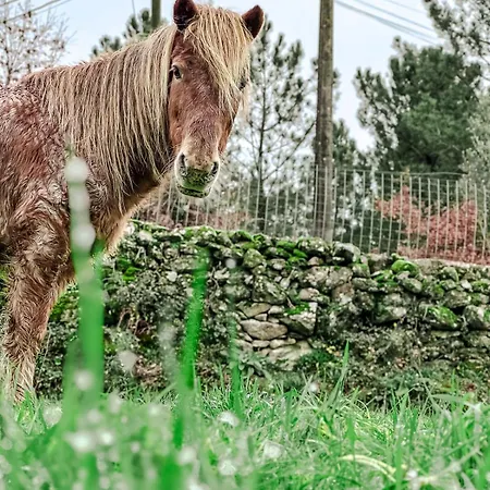 Casa Do Esquilo Cabeceiras de Basto