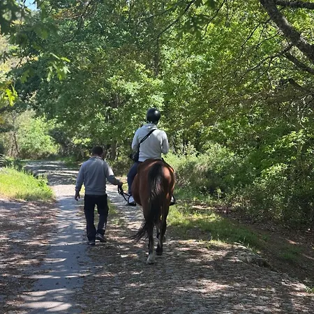 公寓 Casa Do Esquilo