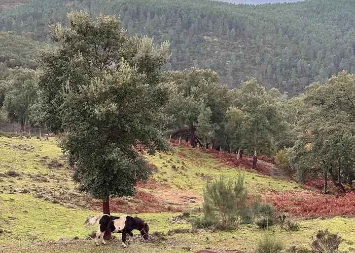 Casa Do Esquilo * Cabeceiras de Basto
