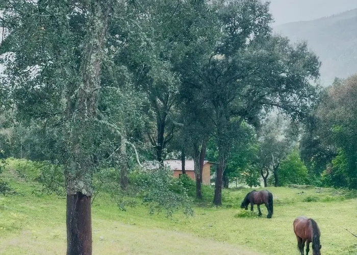 Casa Do Esquilo Διαμέρισμα Cabeceiras de Basto