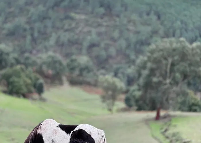 Διαμέρισμα Casa Do Esquilo Cabeceiras de Basto