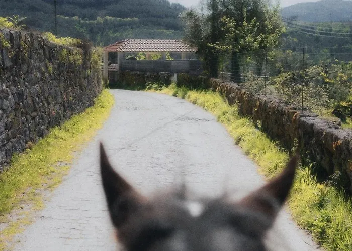 Casa Do Esquilo * קאבקסיירס דה באסטו