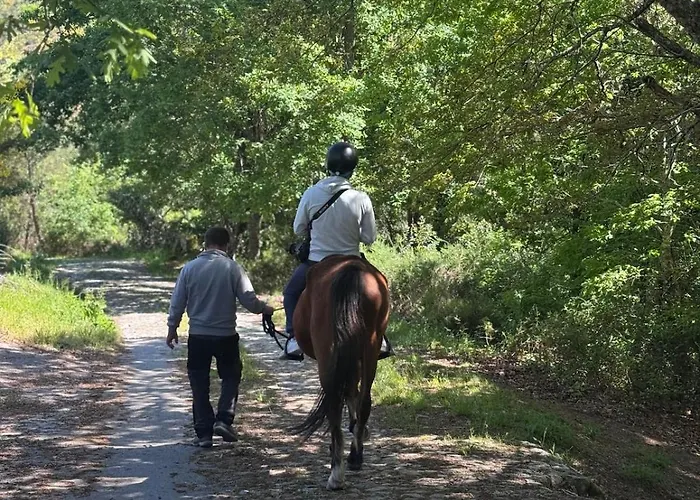 דירה Casa Do Esquilo