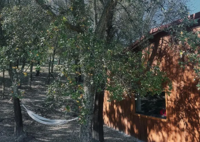 Casa Do Esquilo דירה קאבקסיירס דה באסטו